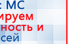 Пояс электрод купить в Норильске, Электроды Меркурий купить в Норильске, Скэнар официальный сайт - denasvertebra.ru